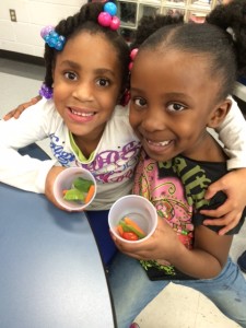 Fruit and Veggie Tasting PC