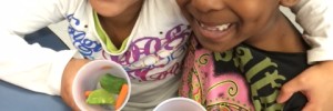 Fruit and Veggie Tasting PC
