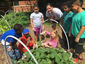 Featured image for “Fit4Kids Is Hiring a Learning Garden Educator!”