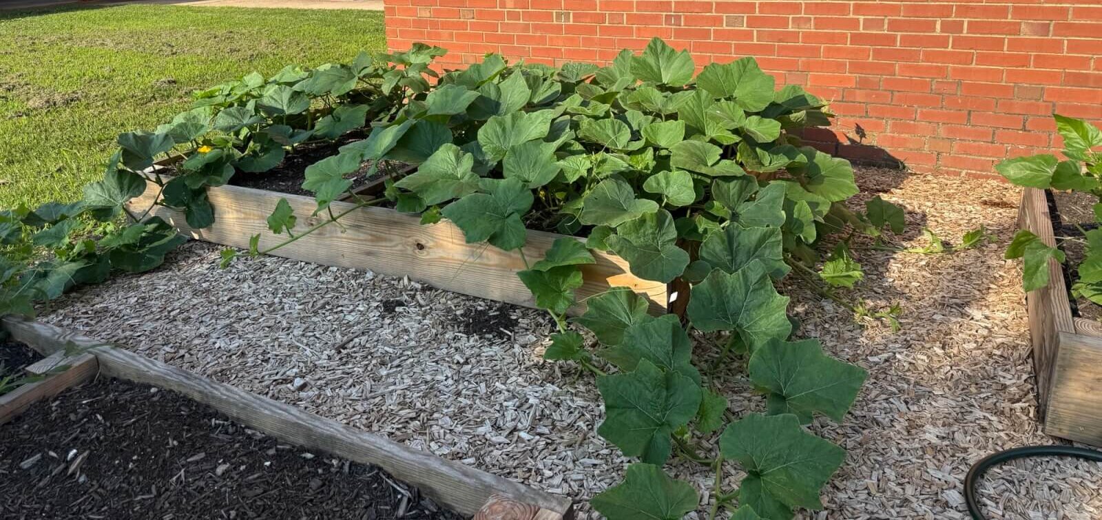 Featured image for “Nifty nifty, Fit4Kids has FIFTY Learning Gardens!”