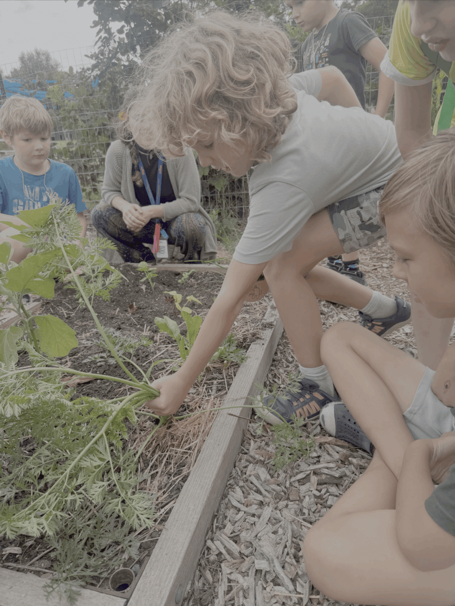 Featured image for “Growing, Tasting, and Learning with Garden Club”